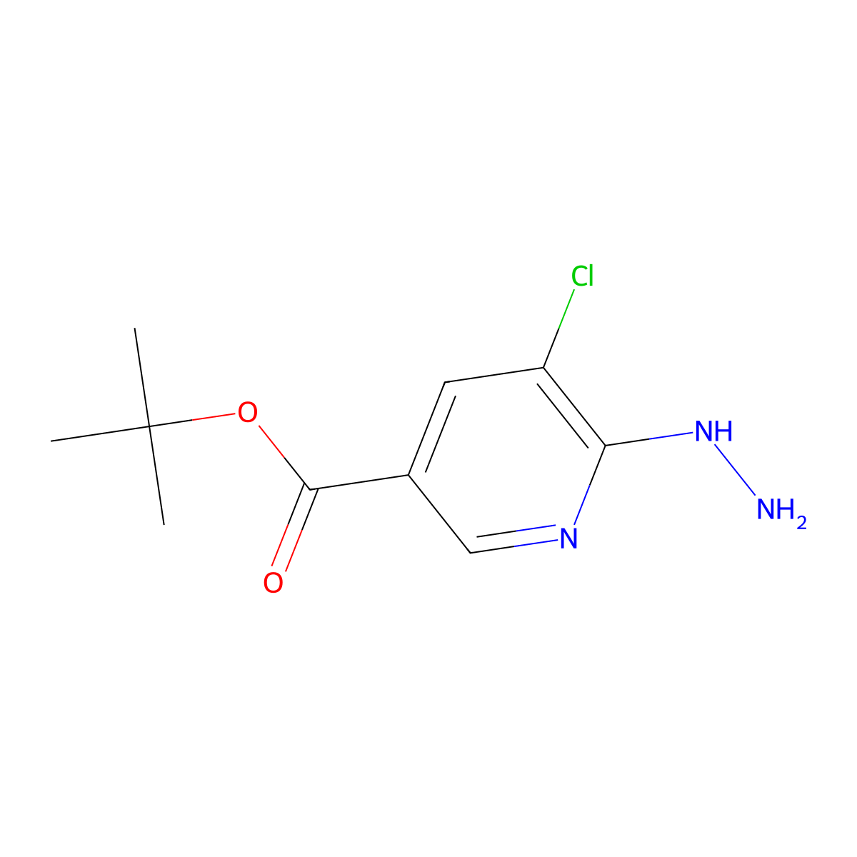 Tert-butyl 5-chloro-6-hydrazinylpyridine-3-carboxylate molecular structure, CAS 1246759-31-8
