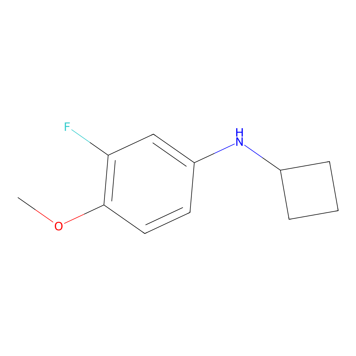 N-cyclobutyl-3-fluoro-4-methoxyaniline molecular structure, CAS 1247082-60-5