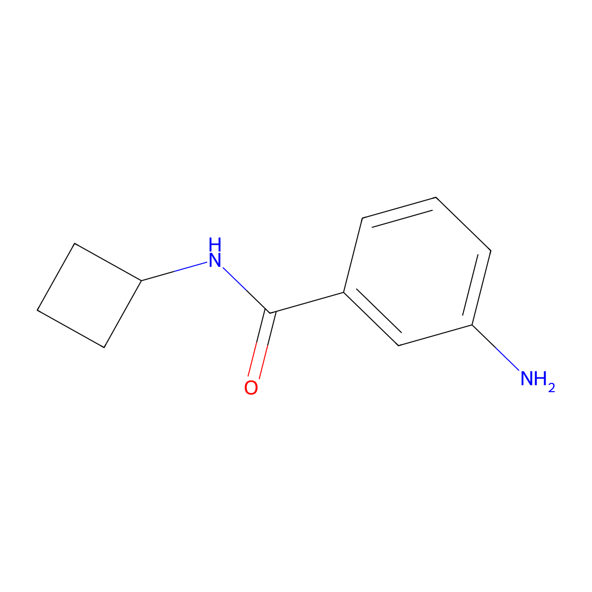3-amino-N-cyclobutylbenzamide molecular structure, CAS 1247102-41-5