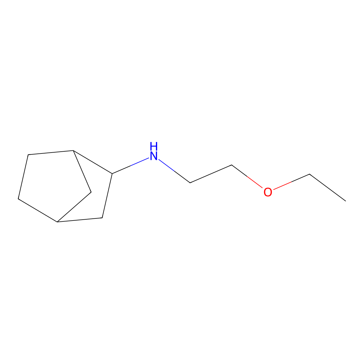 N-(2-ethoxyethyl)bicyclo[2.2.1]heptan-2-amine molecular structure, CAS 1247103-41-8