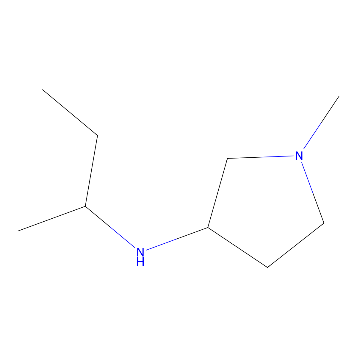 N-(butan-2-yl)-1-methylpyrrolidin-3-amine molecular structure, CAS 1247144-71-3