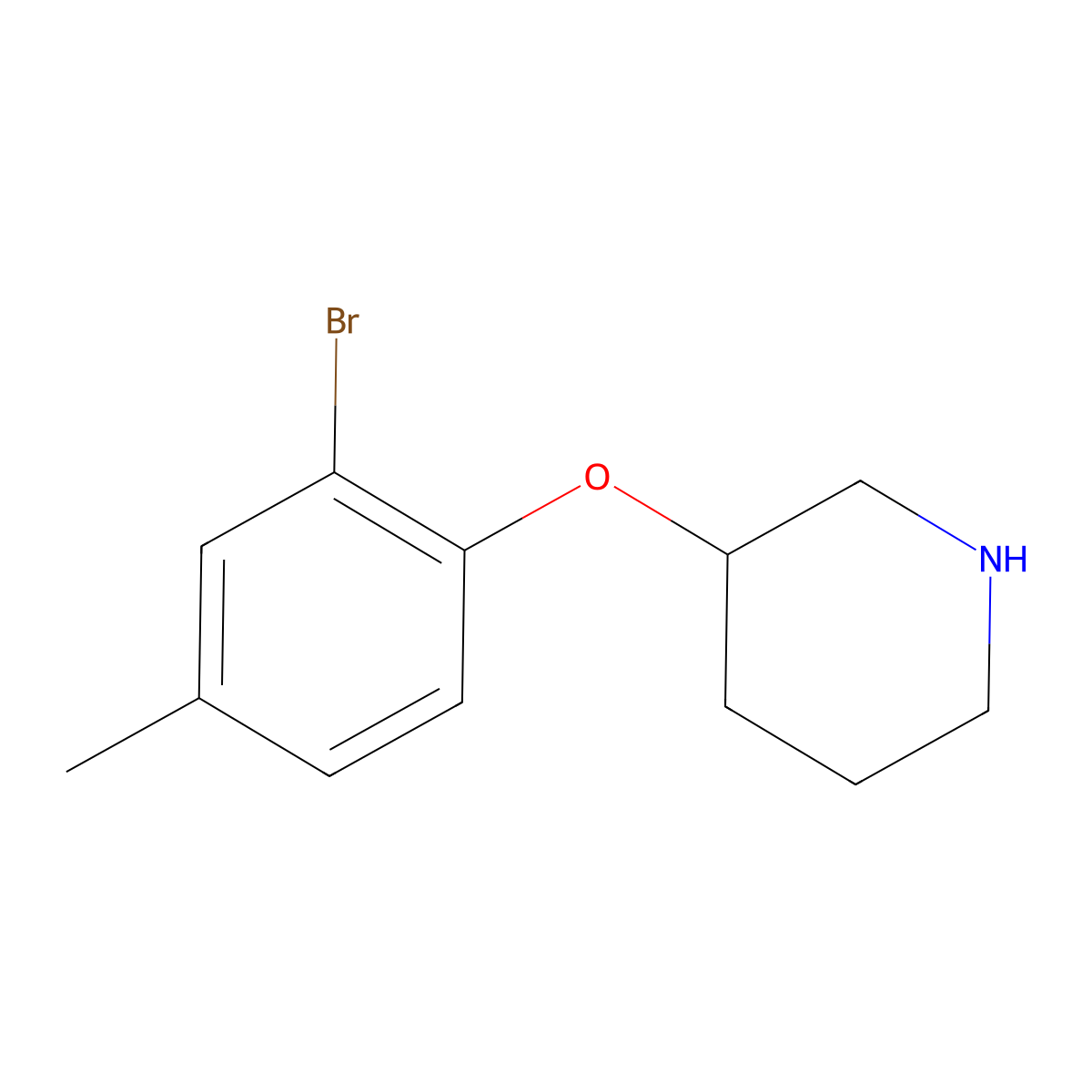 3-(2-Bromo-4-methylphenoxy)piperidine molecular structure, CAS 1247174-84-0