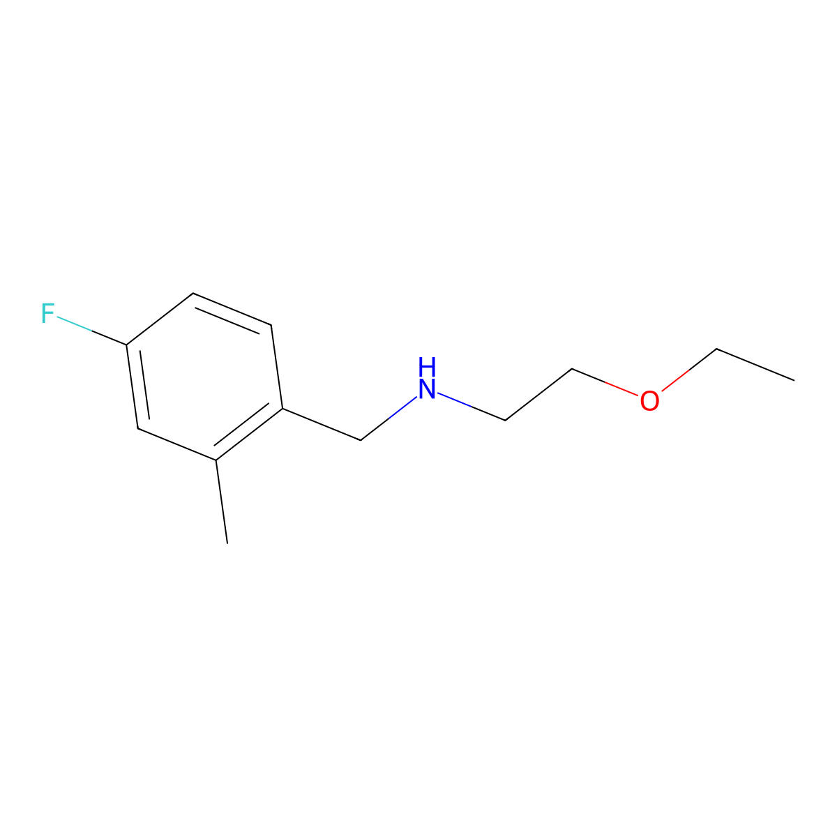 (2-Ethoxyethyl)[(4-fluoro-2-methylphenyl)methyl]amine molecular structure, CAS 1247191-62-3