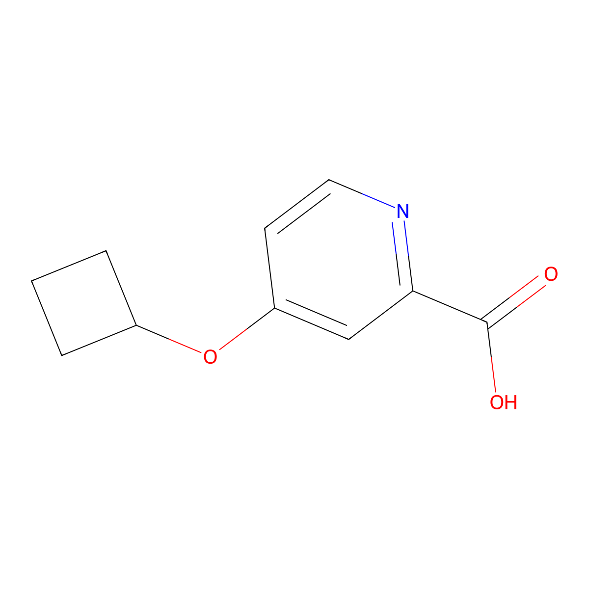 4-Cyclobutoxypyridine-2-carboxylic acid molecular structure, CAS 1247196-30-0