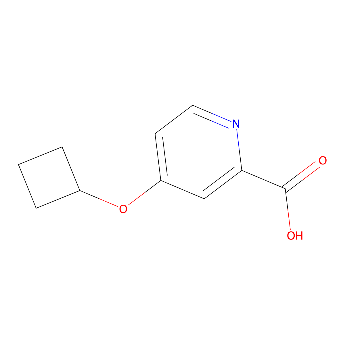4-Cyclobutoxypyridine-2-carboxylic acid molecular structure, CAS 1247196-30-0