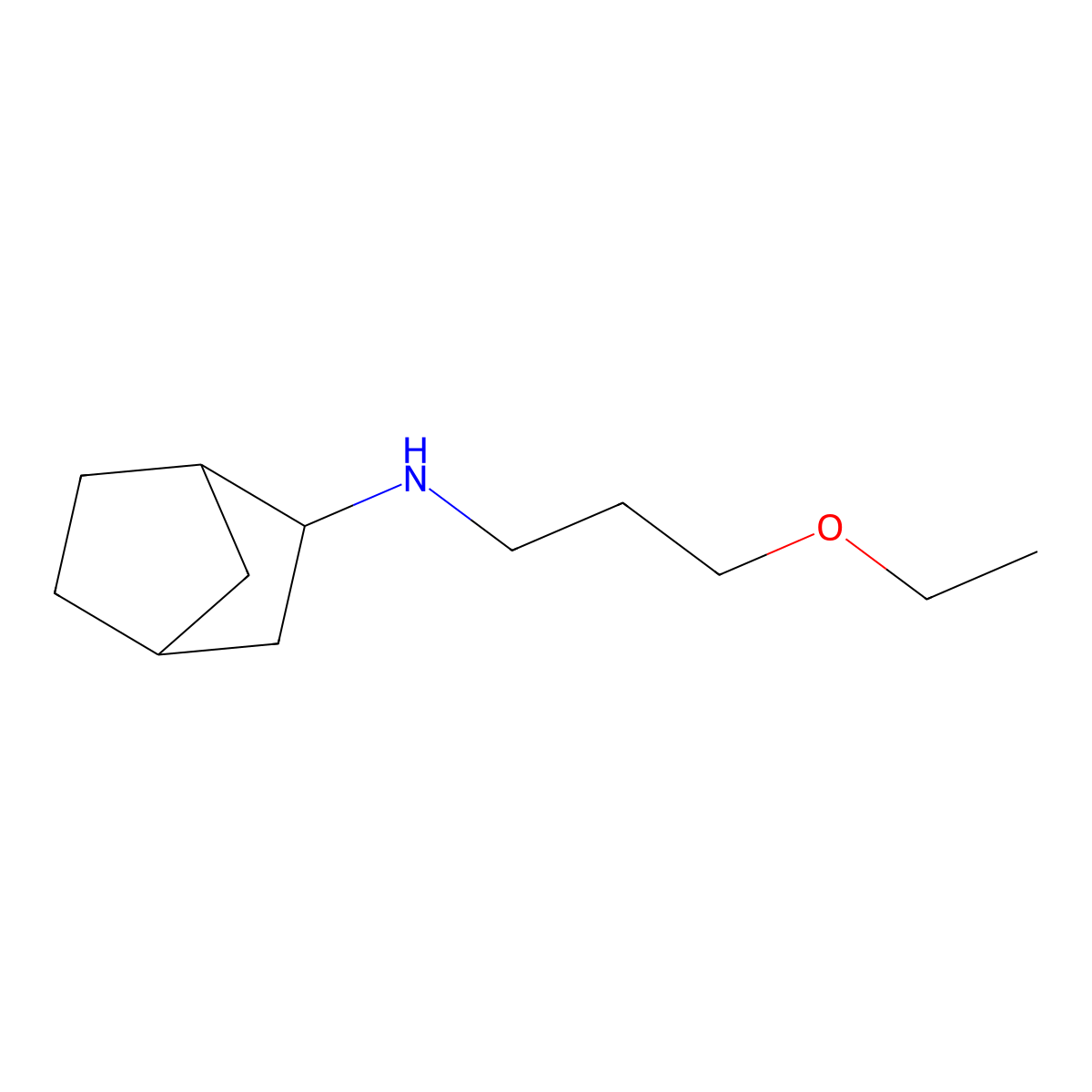N-(3-ethoxypropyl)bicyclo[2.2.1]heptan-2-amine molecular structure, CAS 1247415-99-1