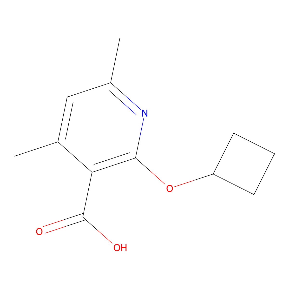 2-Cyclobutoxy-4,6-dimethylpyridine-3-carboxylic acid molecular structure, CAS 1247523-42-7