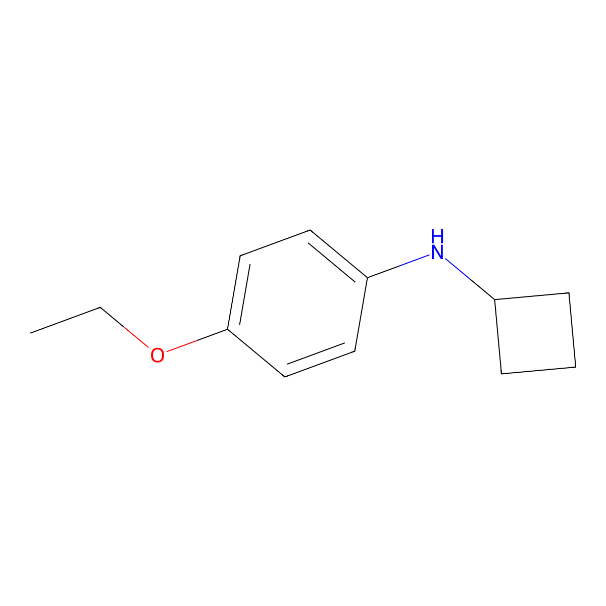 N-cyclobutyl-4-ethoxyaniline molecular structure, CAS 1247559-41-6
