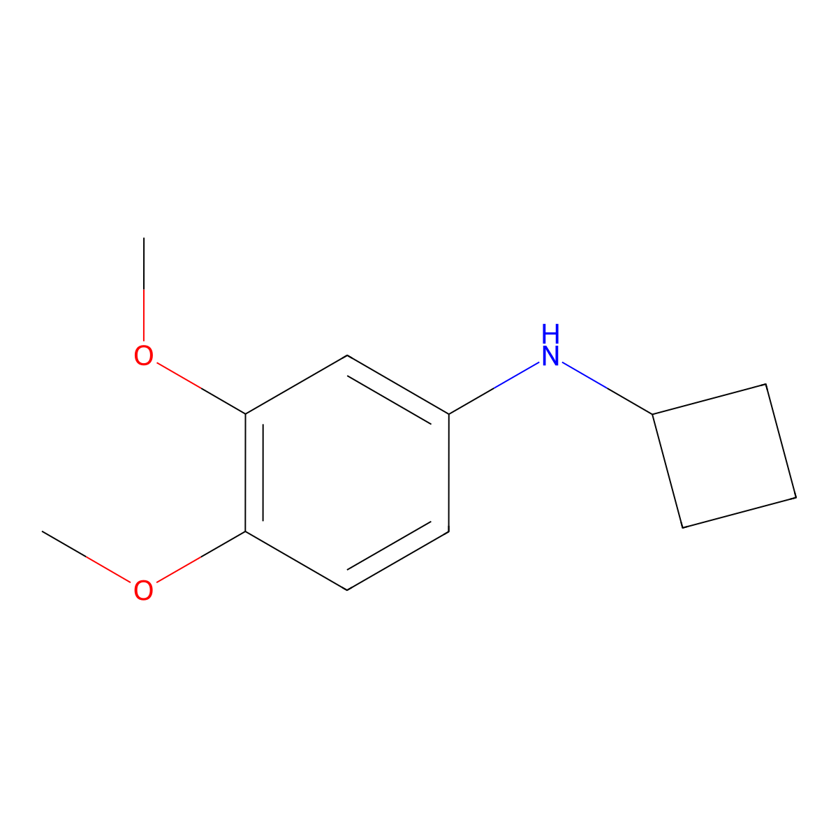 N-cyclobutyl-3,4-dimethoxyaniline molecular structure, CAS 1247611-34-2