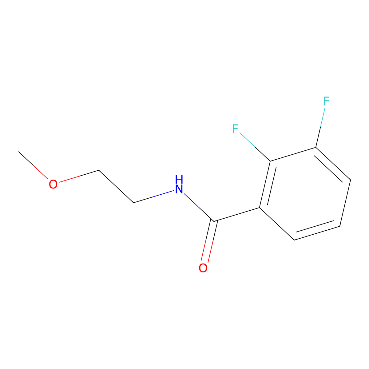 2,3-difluoro-N-(2-methoxyethyl)benzamide molecular structure, CAS 1247626-10-3
