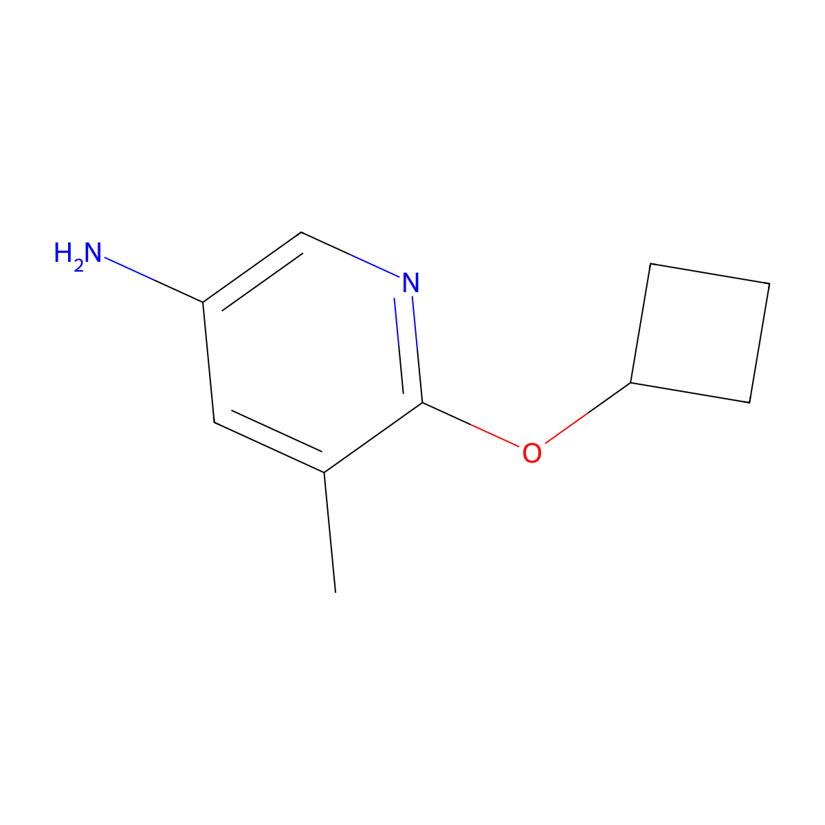 6-Cyclobutoxy-5-methylpyridin-3-amine molecular structure, CAS 1247633-25-5