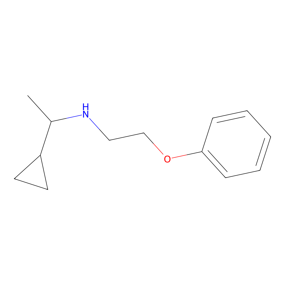 (1-Cyclopropylethyl)(2-phenoxyethyl)amine molecular structure, CAS 1247706-43-9