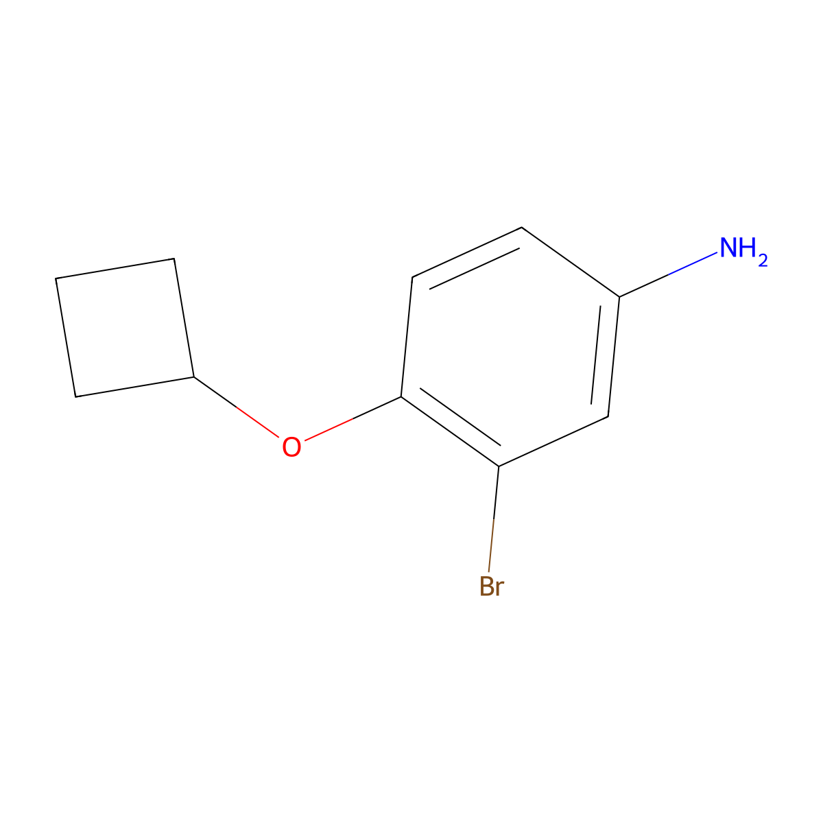 3-Bromo-4-cyclobutoxyaniline molecular structure, CAS 1247716-37-5