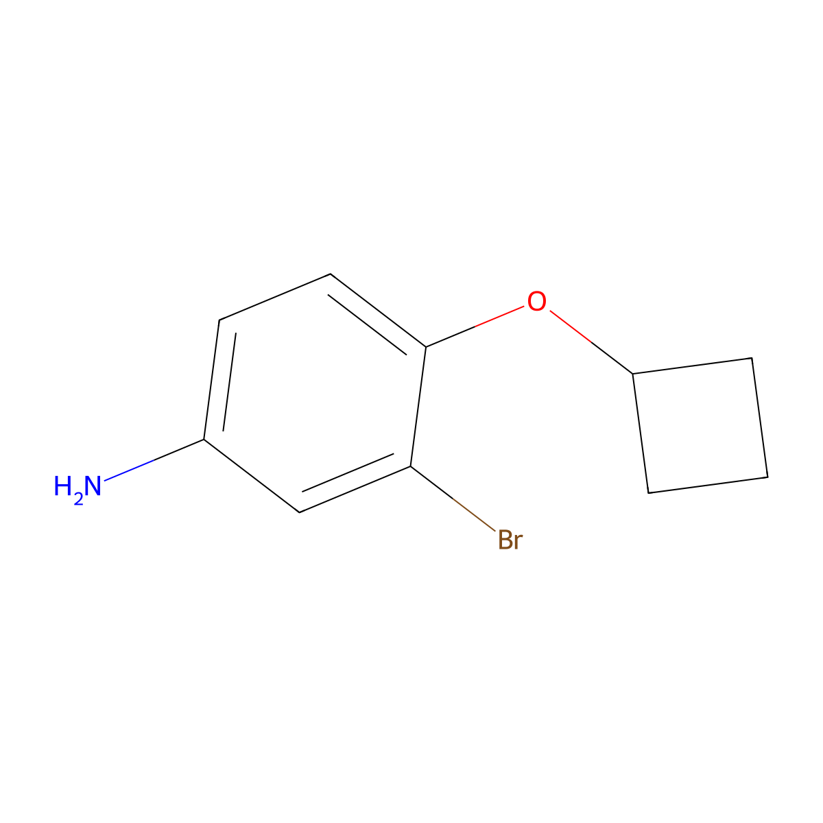 3-Bromo-4-cyclobutoxyaniline molecular structure, CAS 1247716-37-5