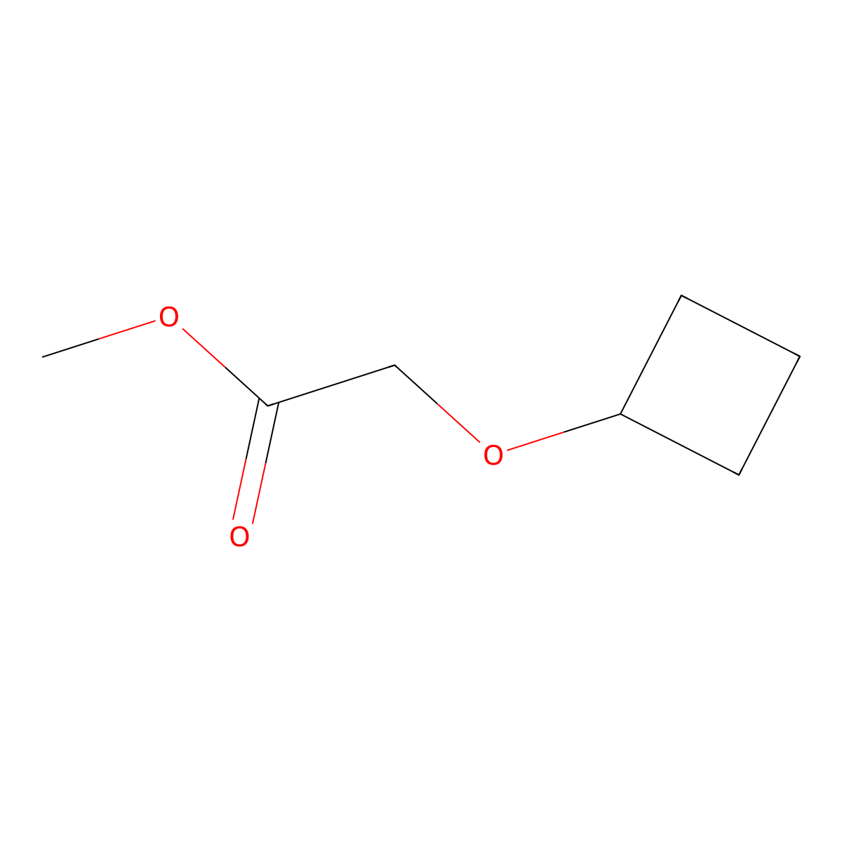 Methyl 2-cyclobutoxyacetate molecular structure, CAS 1247751-17-2