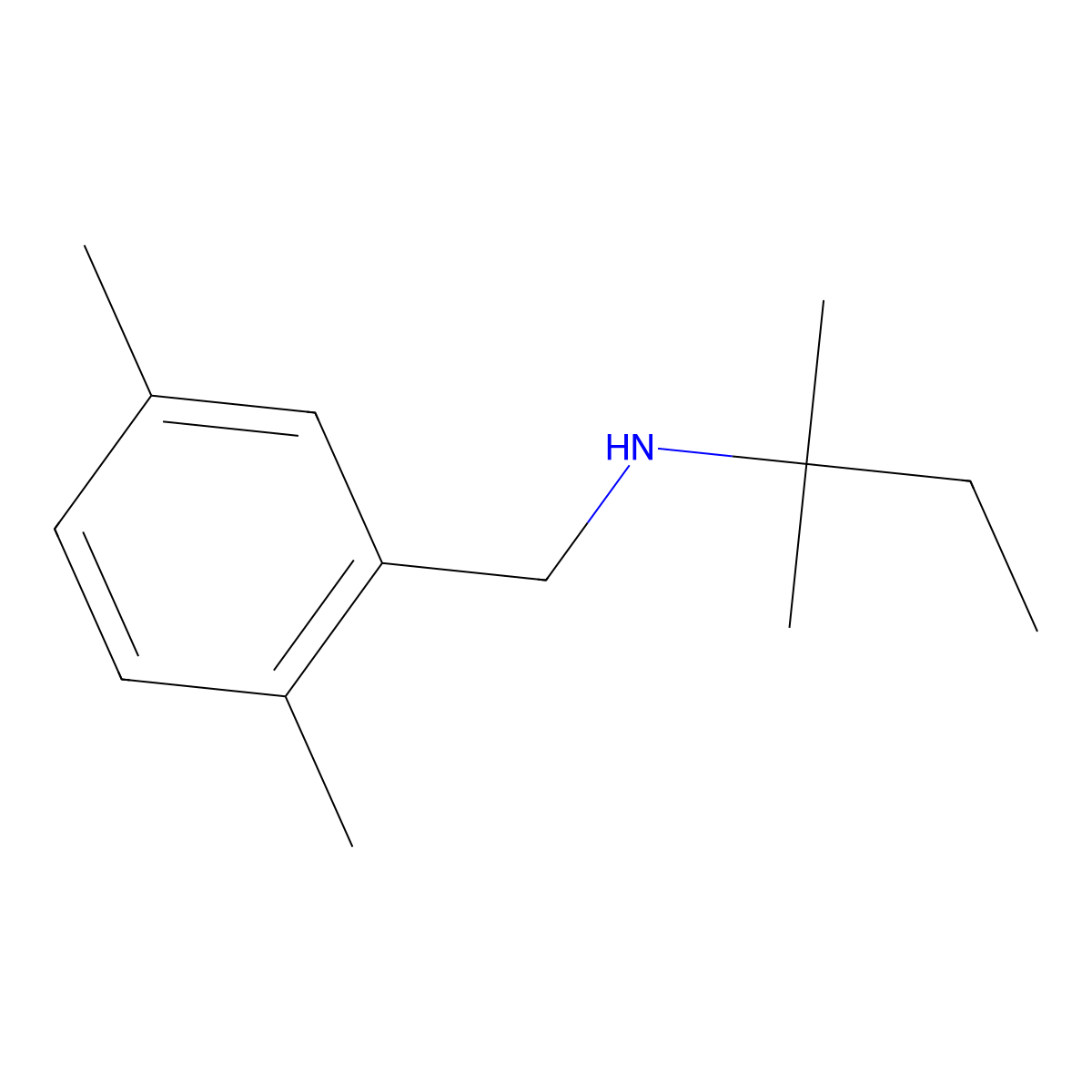 [(2,5-Dimethylphenyl)methyl](2-methylbutan-2-yl)amine molecular structure, CAS 1247843-68-0