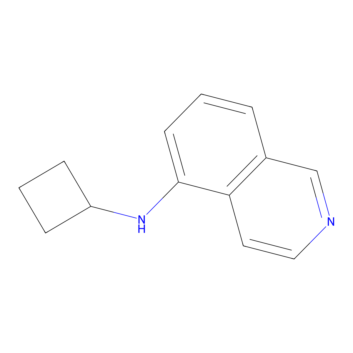 N-cyclobutylisoquinolin-5-amine molecular structure, CAS 1247907-40-9