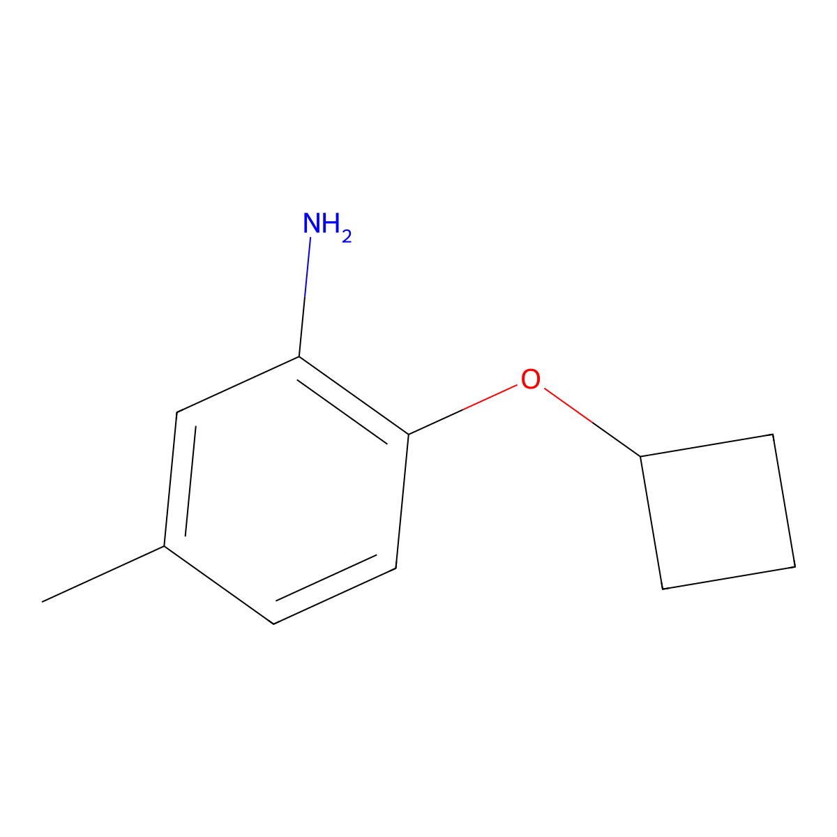2-Cyclobutoxy-5-methylaniline molecular structure, CAS 1248050-73-8
