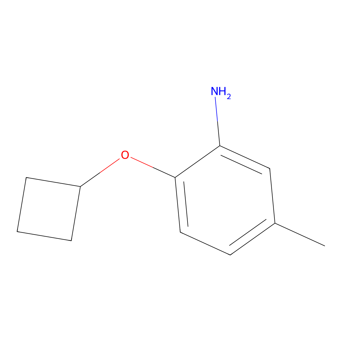 2-Cyclobutoxy-5-methylaniline molecular structure, CAS 1248050-73-8