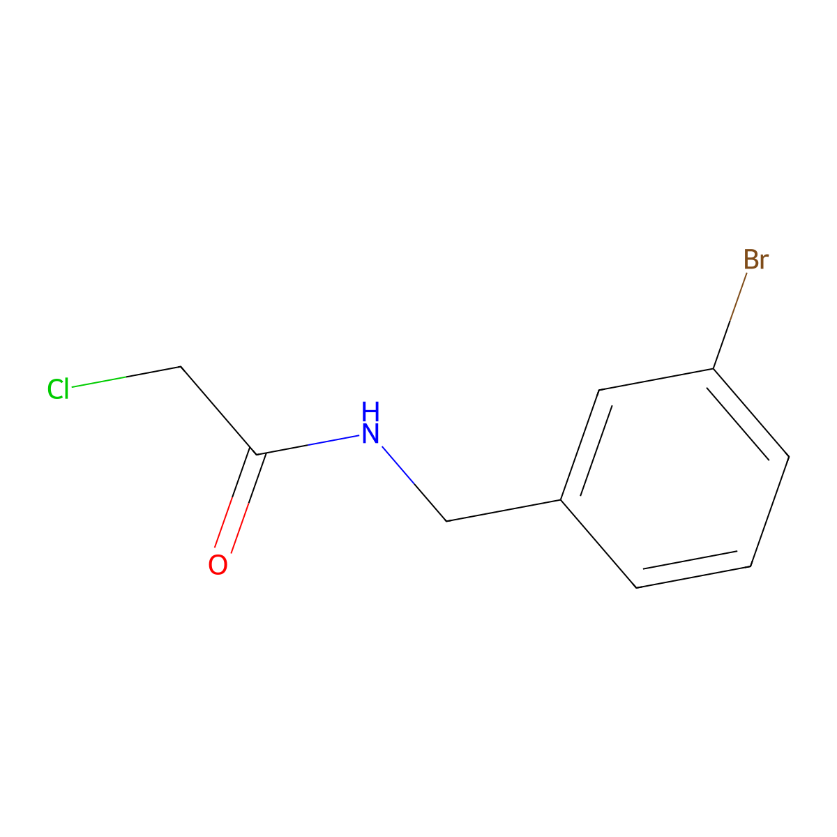 N-((3-bromophenyl)methyl)-2-chloroacetamide molecular structure, CAS 1248101-76-9