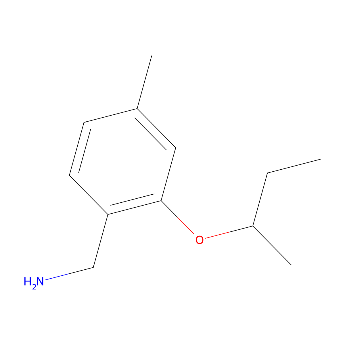 [2-(Butan-2-yloxy)-4-methylphenyl]methanamine molecular structure, CAS 1248102-90-0
