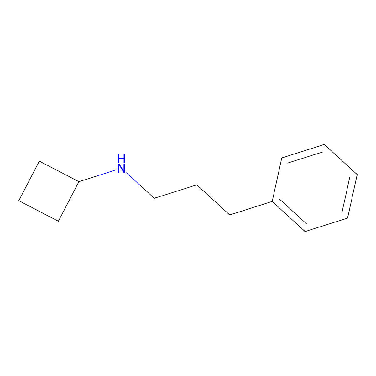 N-(3-phenylpropyl)cyclobutanamine molecular structure, CAS 1248110-22-6
