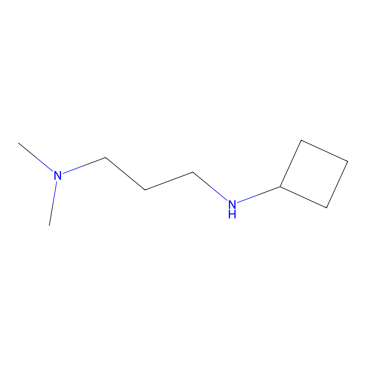 N-[3-(dimethylamino)propyl]cyclobutanamine molecular structure, CAS 1248234-54-9