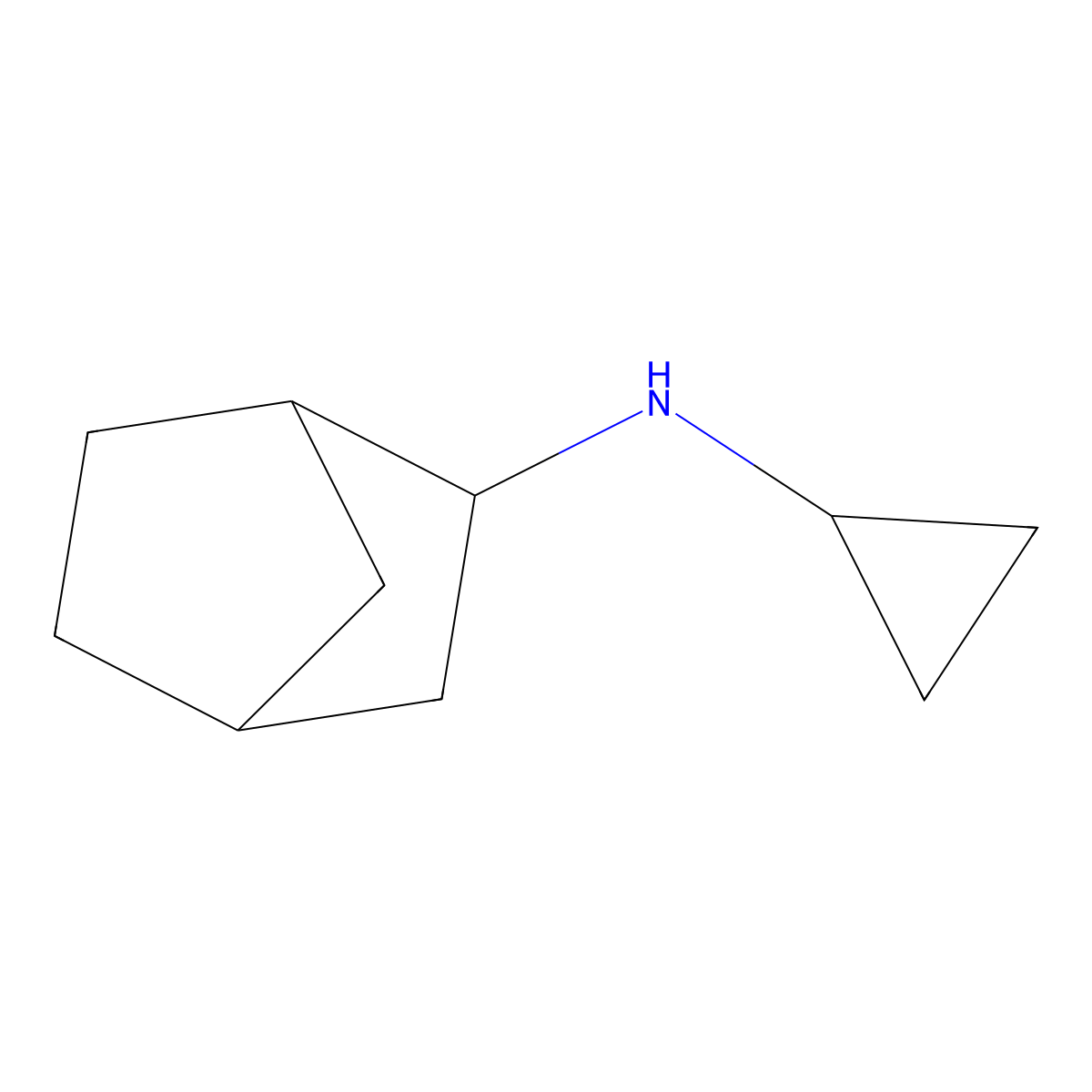 N-cyclopropylbicyclo[2.2.1]heptan-2-amine molecular structure, CAS 1248318-81-1