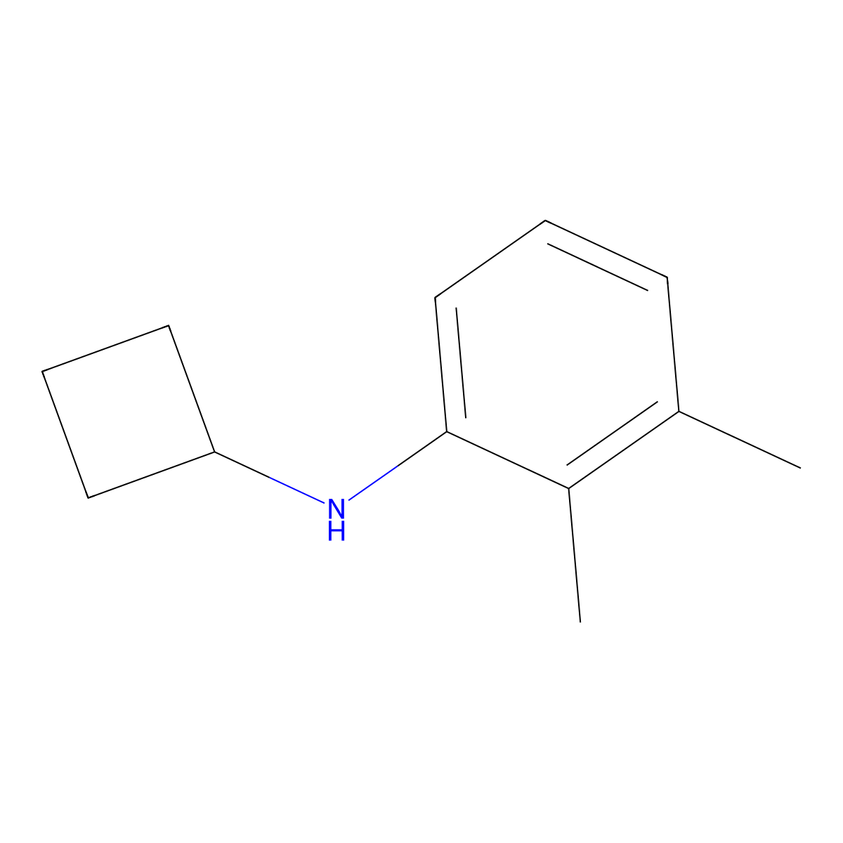 N-cyclobutyl-2,3-dimethylaniline molecular structure, CAS 1248353-96-9