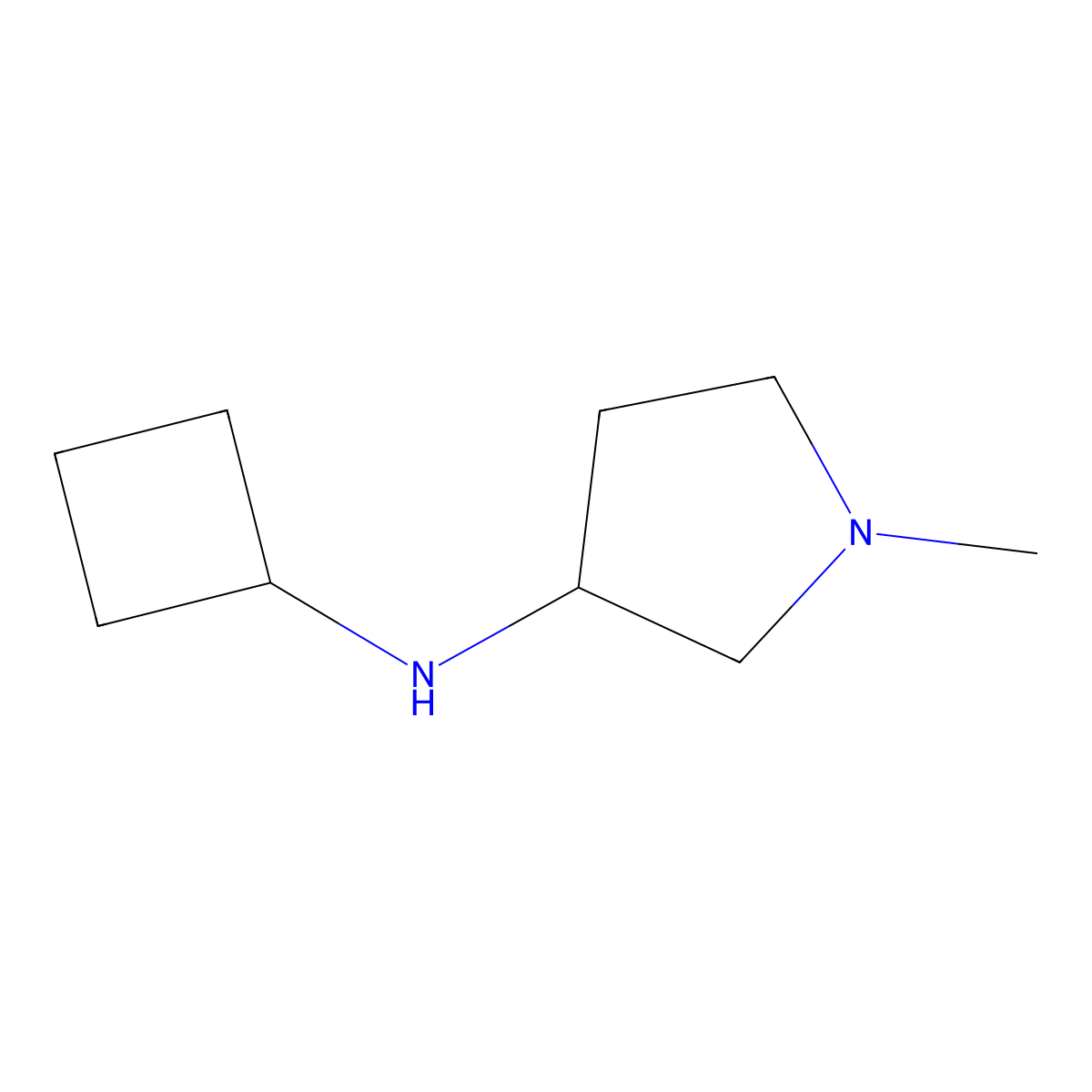 N-cyclobutyl-1-methylpyrrolidin-3-amine molecular structure, CAS 1248434-04-9