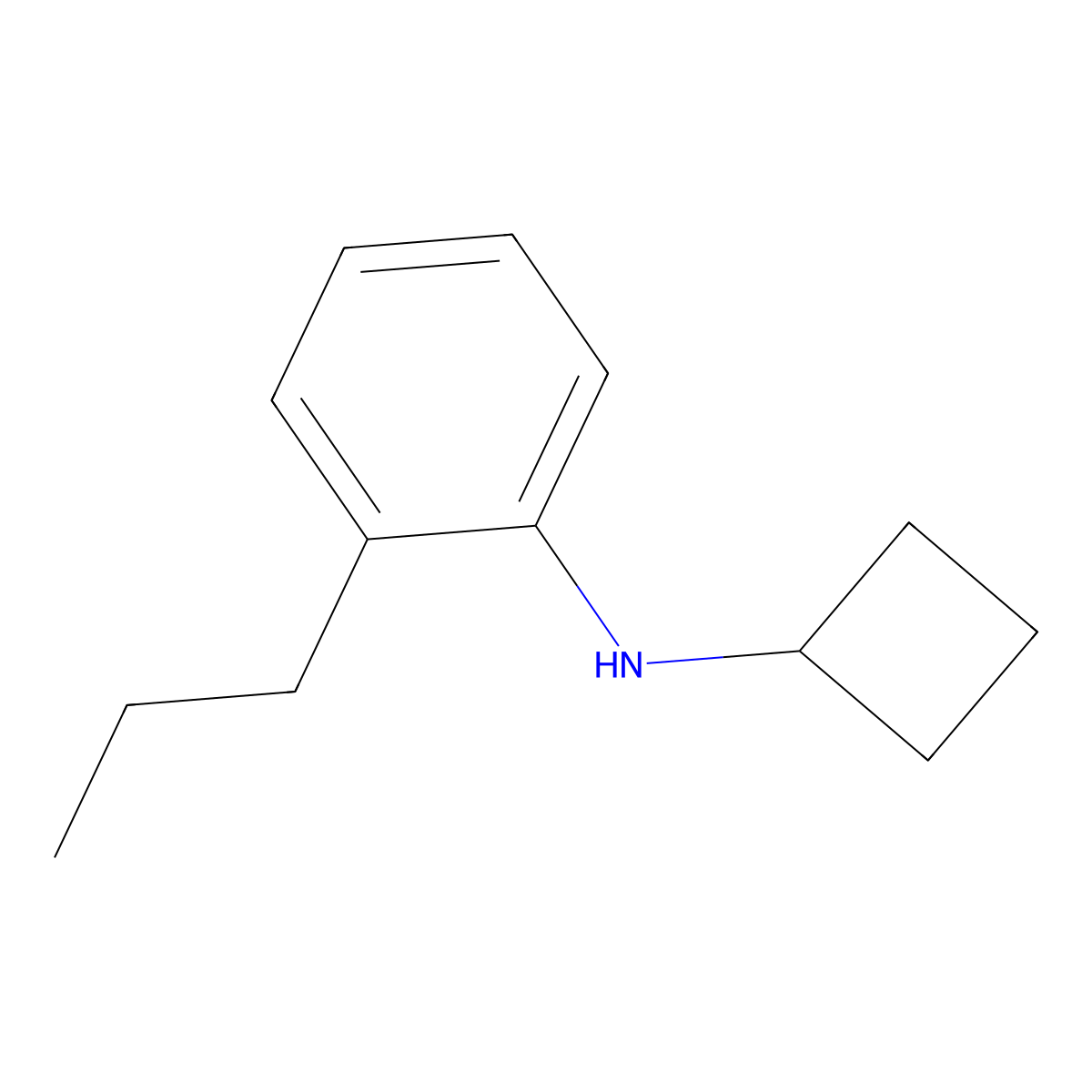 N-cyclobutyl-2-propylaniline molecular structure, CAS 1248474-92-1
