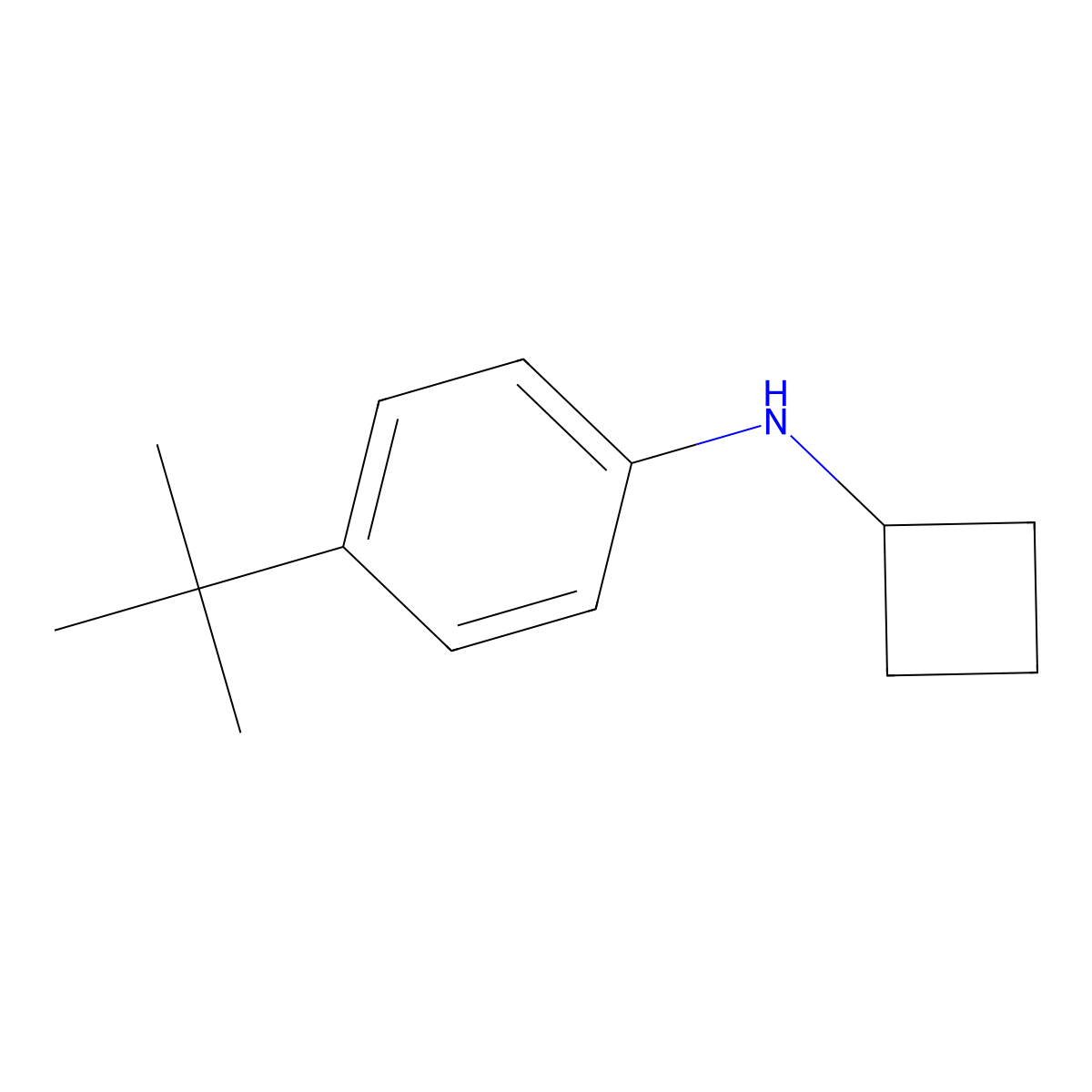 4-tert-butyl-N-cyclobutylaniline molecular structure, CAS 1248640-28-9