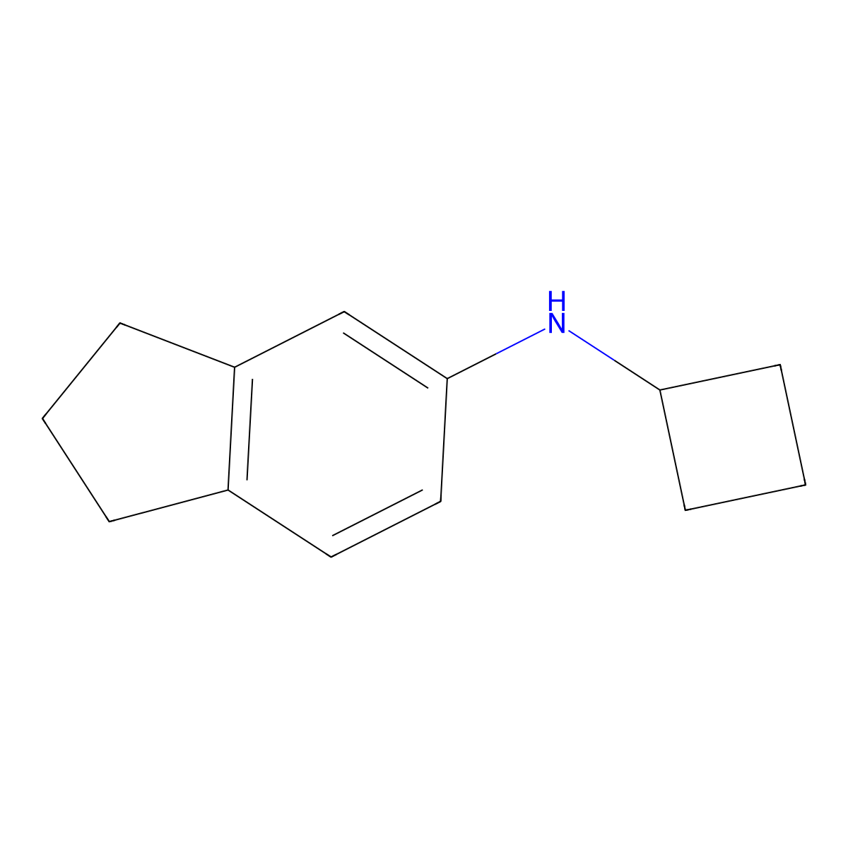 N-cyclobutyl-2,3-dihydro-1H-inden-5-amine molecular structure, CAS 1248645-68-2