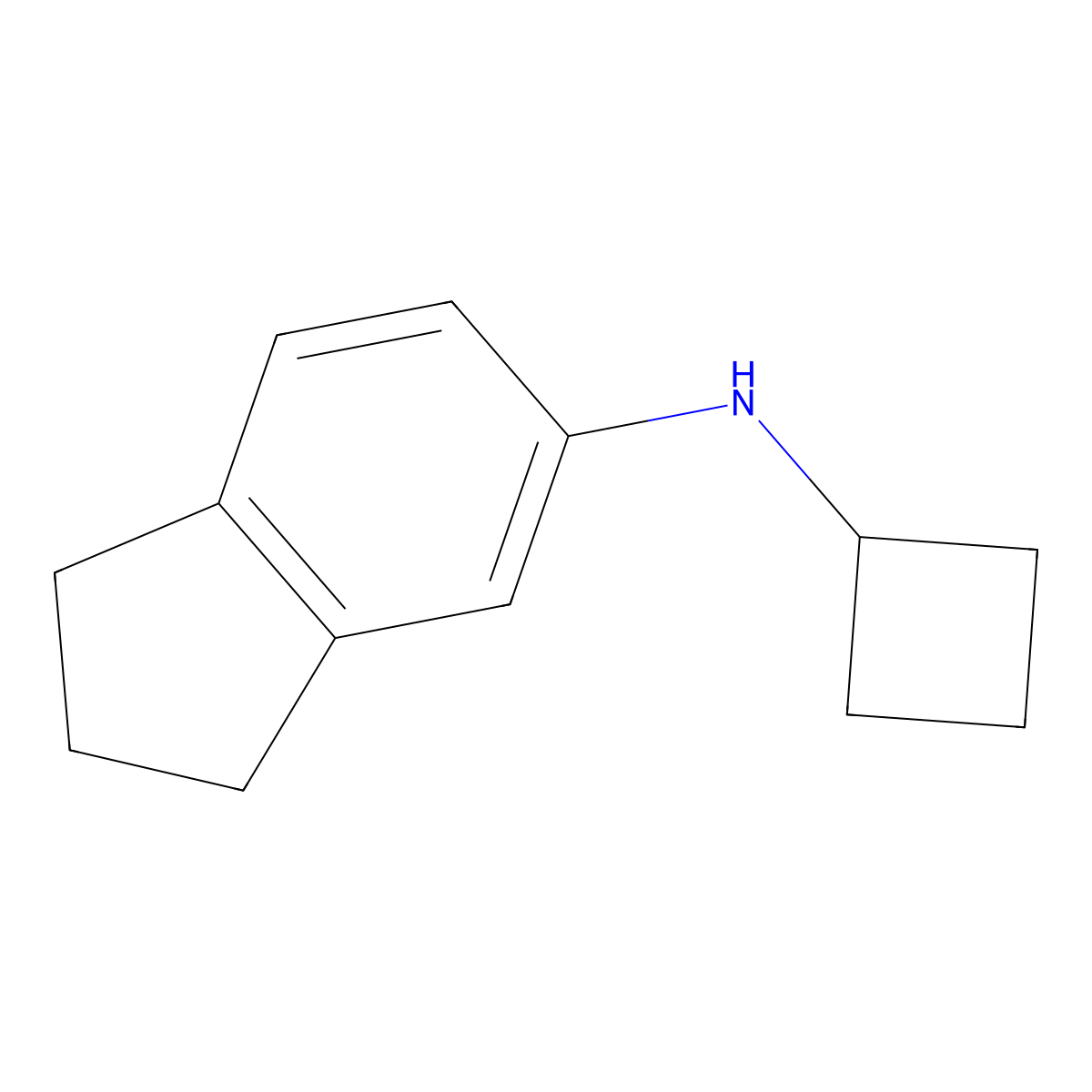 N-cyclobutyl-2,3-dihydro-1H-inden-5-amine molecular structure, CAS 1248645-68-2