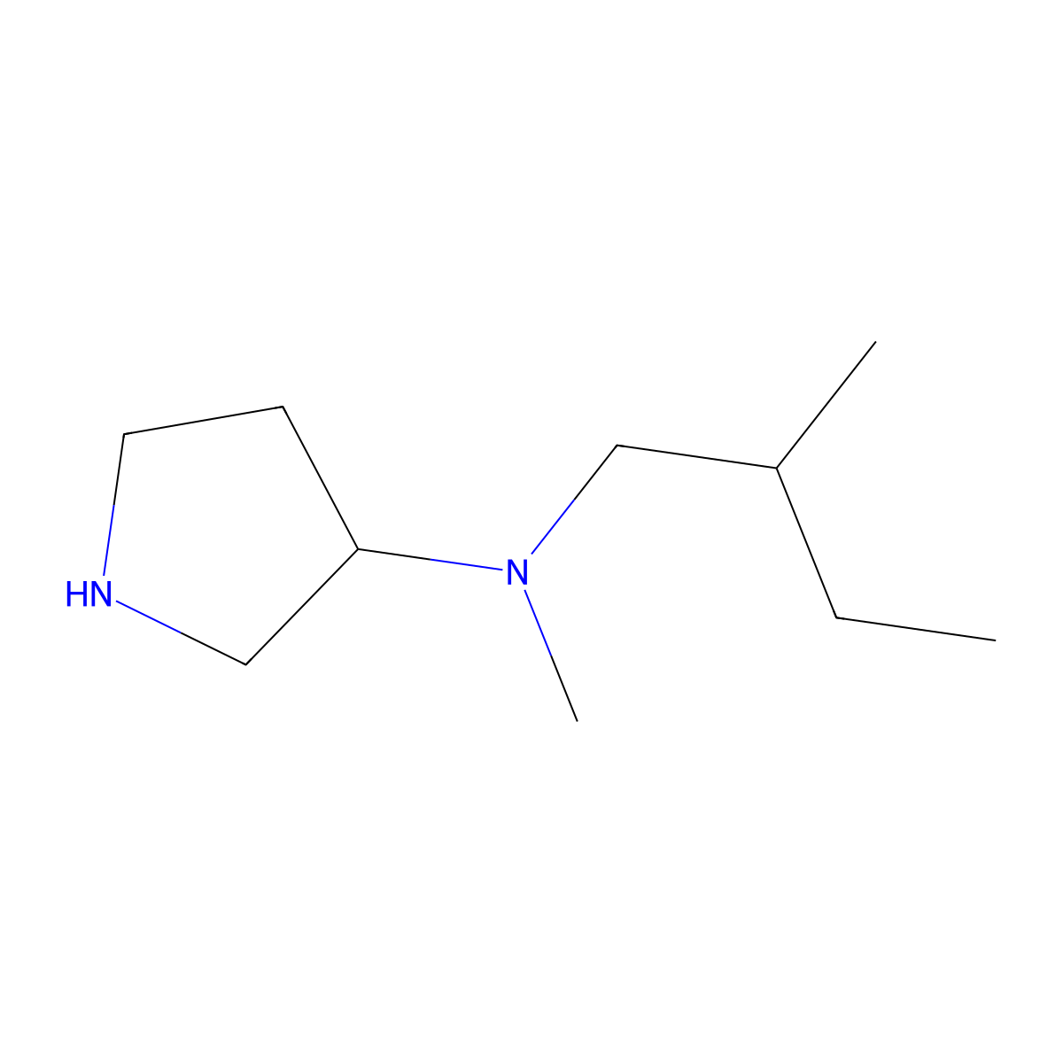 N-methyl-N-(2-methylbutyl)pyrrolidin-3-amine molecular structure, CAS 1248662-12-5