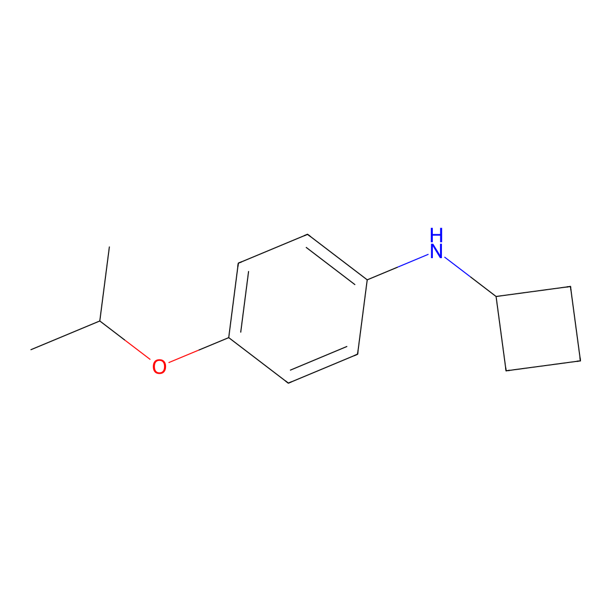 N-Cyclobutyl-4-isopropoxyaniline molecular structure, CAS 1248667-28-8