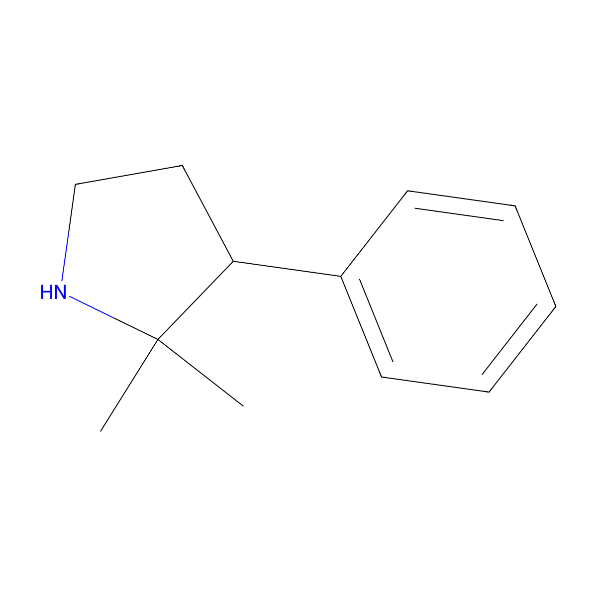 2,2-Dimethyl-3-phenylpyrrolidine molecular structure, CAS 1248677-31-7