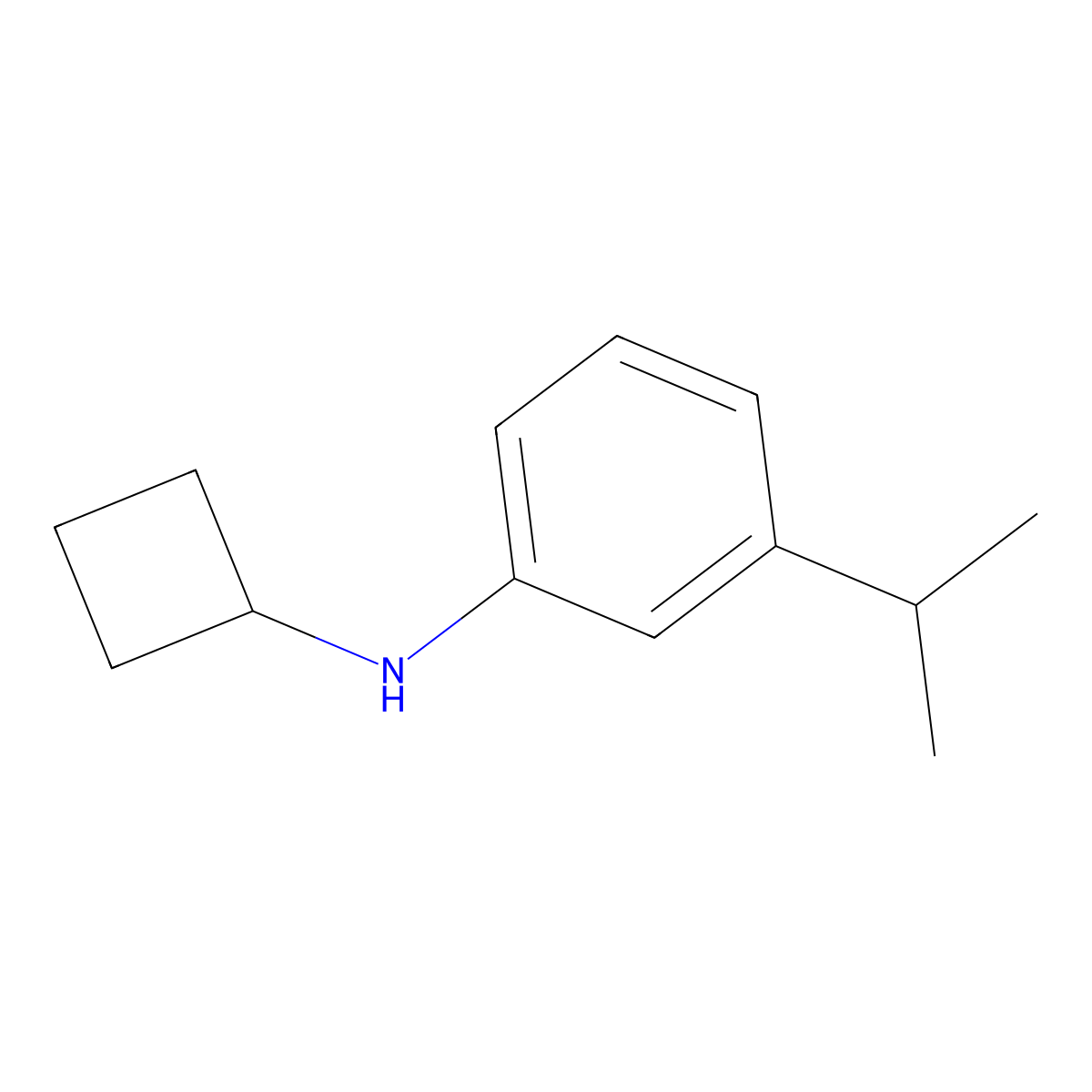 N-cyclobutyl-3-(propan-2-yl)aniline molecular structure, CAS 1248772-01-1