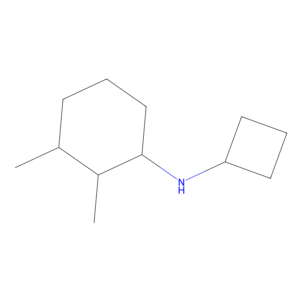 N-cyclobutyl-2,3-dimethylcyclohexan-1-amine molecular structure, CAS 1248796-88-4