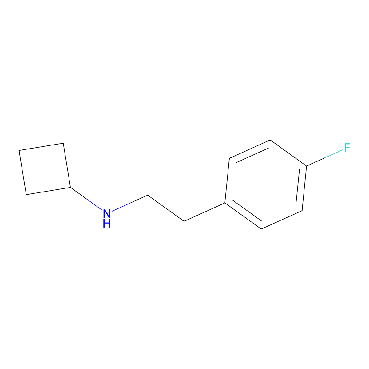 N-[2-(4-fluorophenyl)ethyl]cyclobutanamine molecular structure, CAS 1248822-51-6