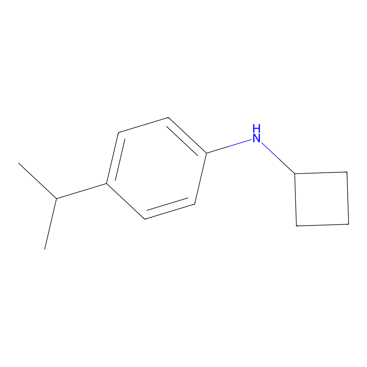N-cyclobutyl-4-(propan-2-yl)aniline molecular structure, CAS 1248901-30-5