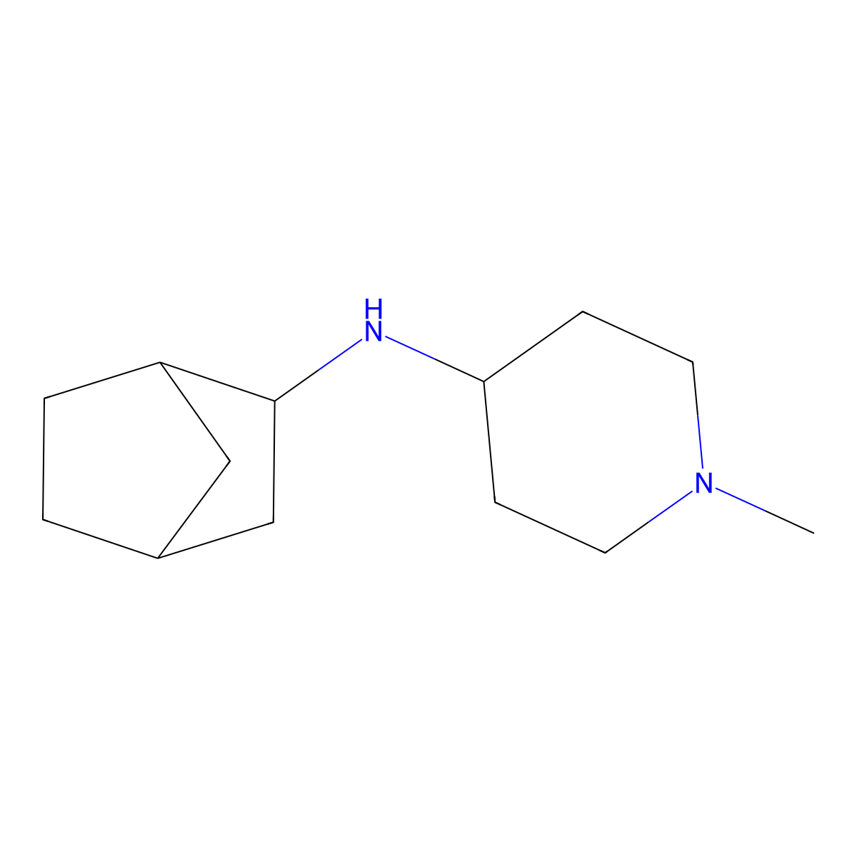 N-{bicyclo[2.2.1]heptan-2-yl}-1-methylpiperidin-4-amine molecular structure, CAS 1248943-25-0