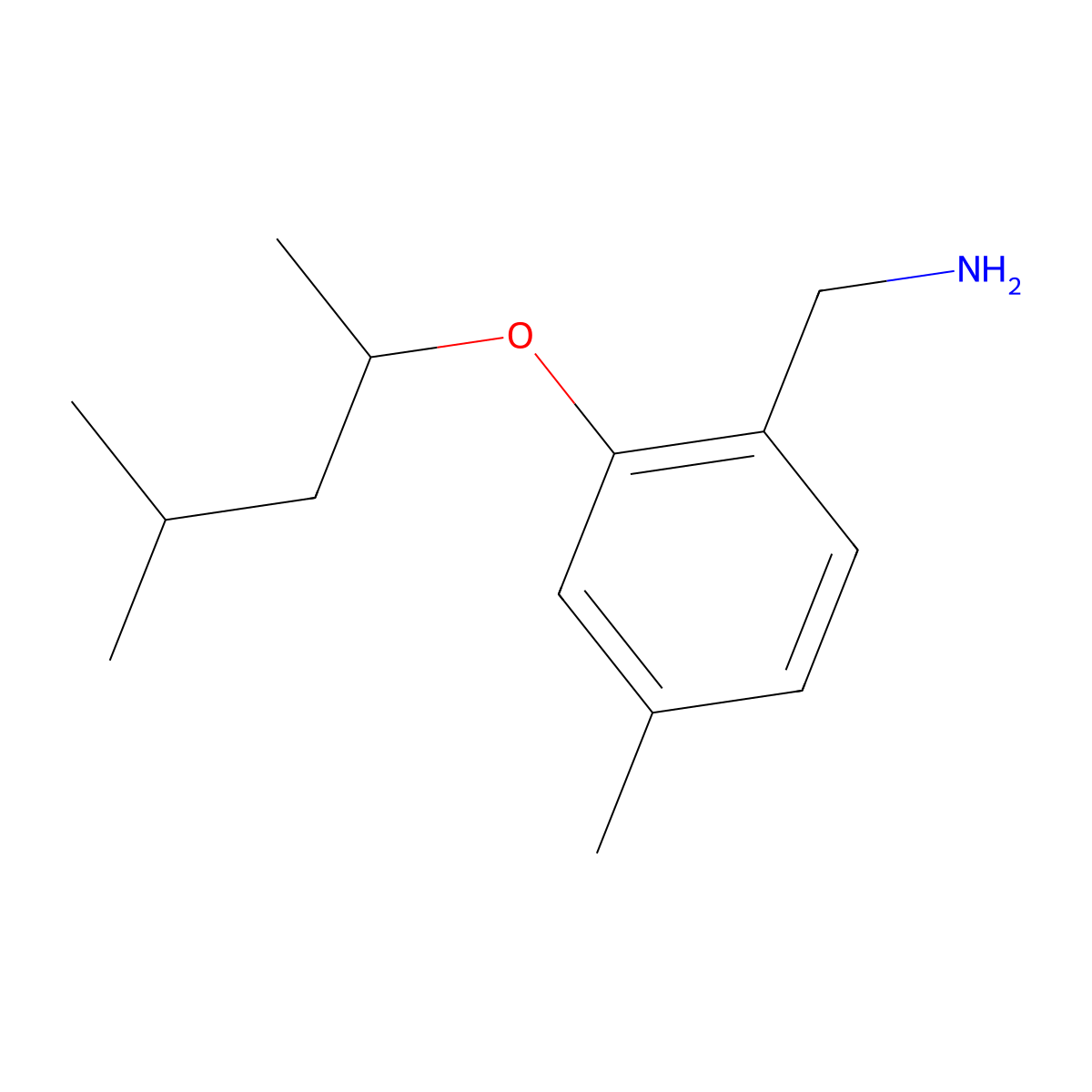 (4-Methyl-2-((4-methylpentan-2-yl)oxy)phenyl)methanamine molecular structure, CAS 1249037-82-8