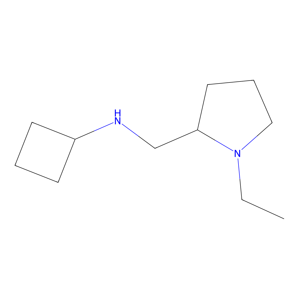 N-[(1-ethylpyrrolidin-2-yl)methyl]cyclobutanamine molecular structure, CAS 1249053-28-8
