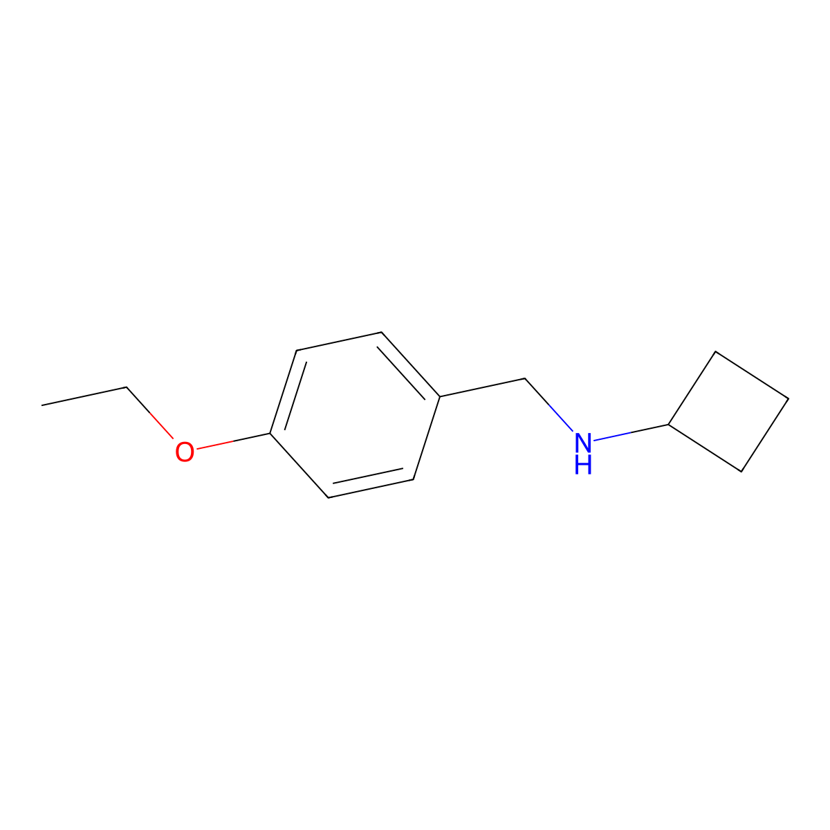 N-[(4-ethoxyphenyl)methyl]cyclobutanamine molecular structure, CAS 1249071-00-8