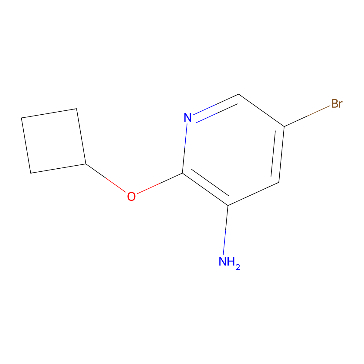 5-Bromo-2-cyclobutoxypyridin-3-amine molecular structure, CAS 1249083-05-3