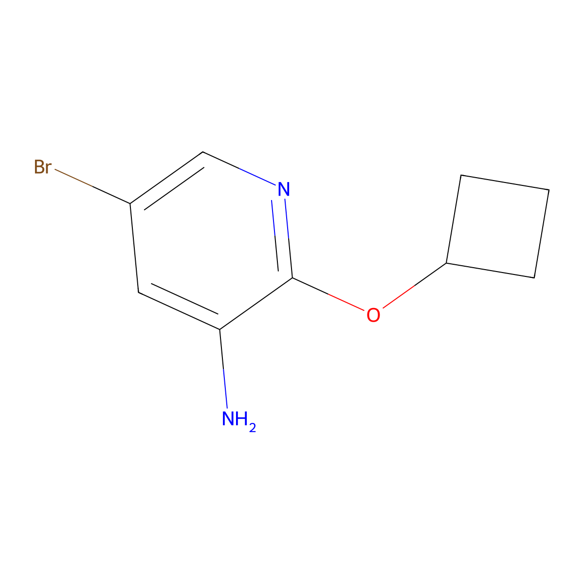 5-Bromo-2-cyclobutoxypyridin-3-amine molecular structure, CAS 1249083-05-3