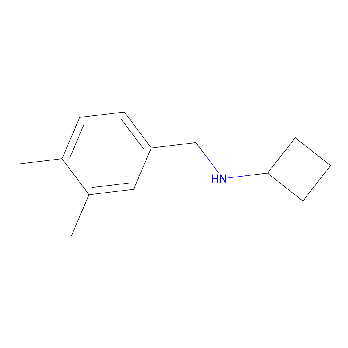 N-[(3,4-dimethylphenyl)methyl]cyclobutanamine molecular structure, CAS 1249107-70-7