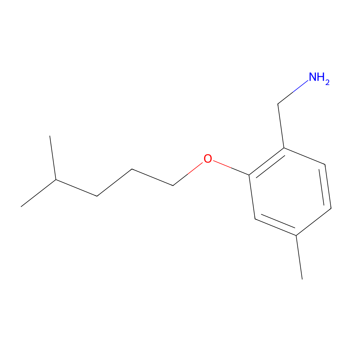 {4-Methyl-2-[(4-methylpentyl)oxy]phenyl}methanamine molecular structure, CAS 1249171-23-0