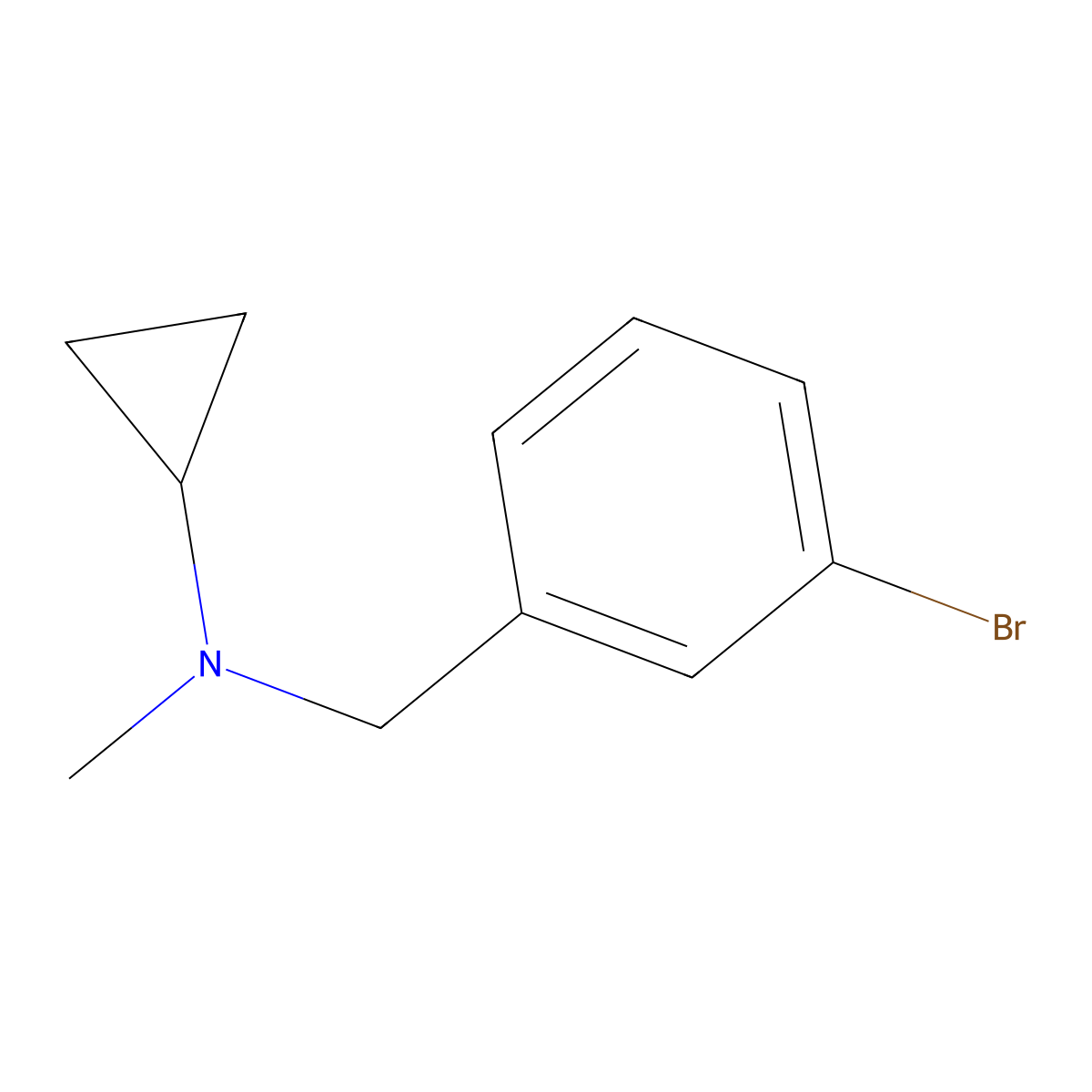 N-[(3-bromophenyl)methyl]-N-methylcyclopropanamine molecular structure, CAS 1249199-38-9
